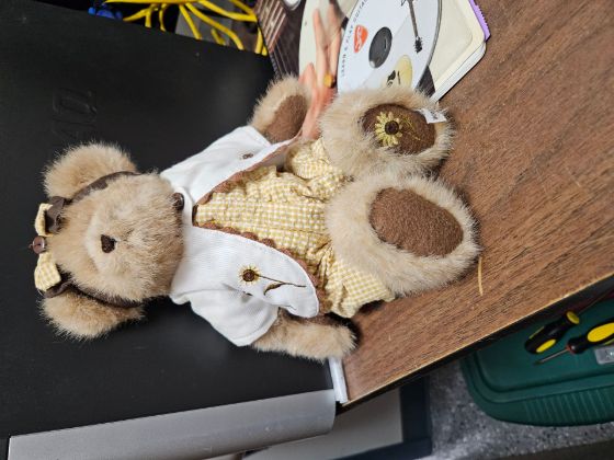 Picture of Boyd's Bear