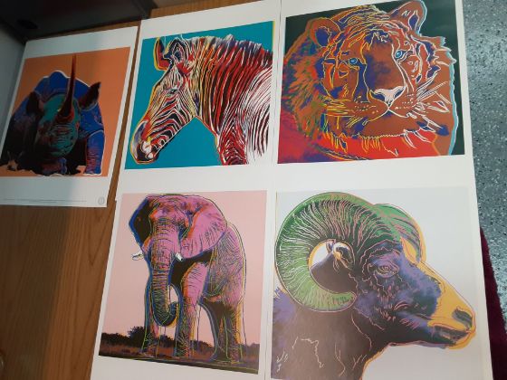 Picture of Andy Warhol Art collection